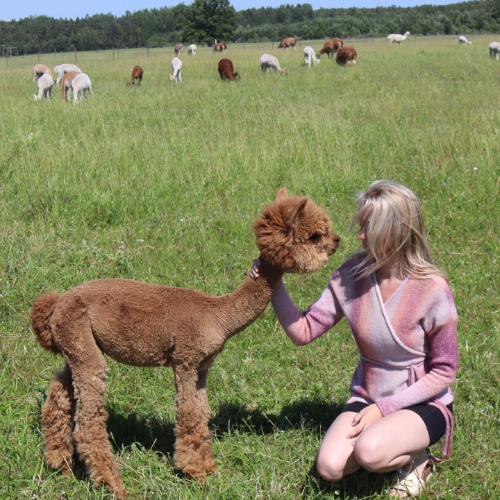 Maigs apvēršamais džemperis