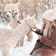 Translation missing: lv.sections.featured_product.gallery_thumbnail_alt
